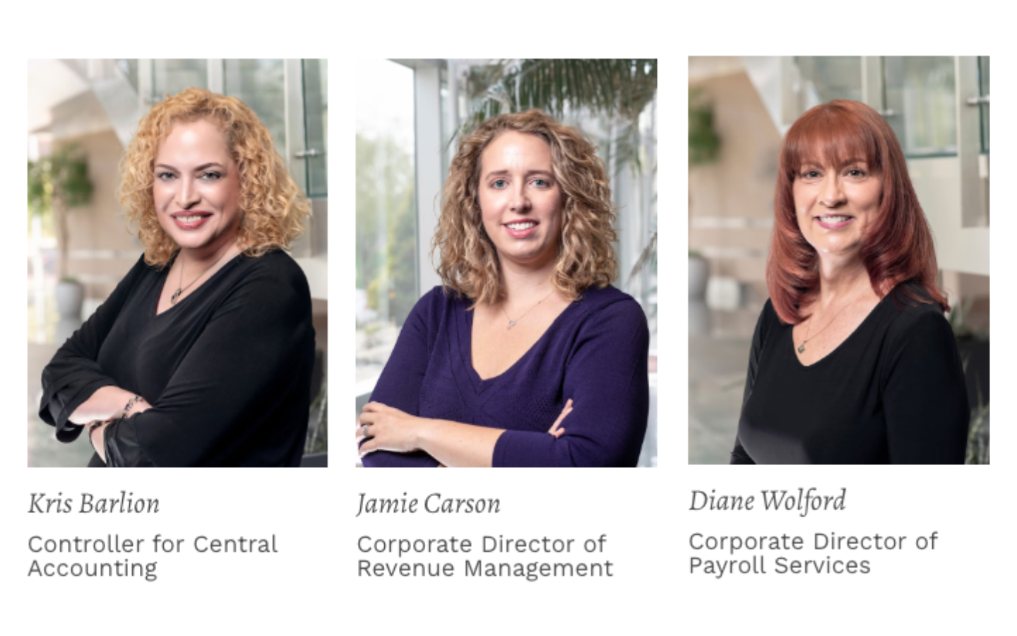 Meet The Accounting Team